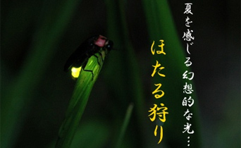 ■□ It is light to light up faintly in early summer of vicinity of a river…Plan with firefly admiration knight tour! □* It is plan with firefly admiration knight tour of 6.7 moon-limited! ○With tea and onigiri () that target person removes adult and child of child (bed-sharing)
