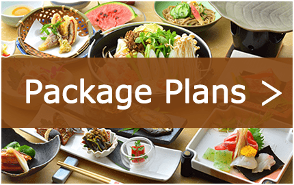 Package Plans