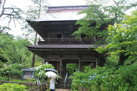 青龍山 吉祥寺