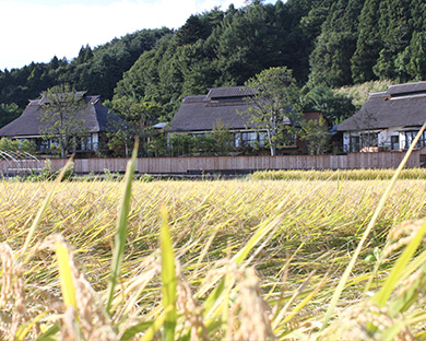 稲穂越しに見える日本の原風景